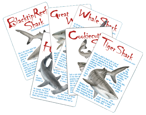 Great White Cards product pic